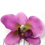 orchidee bloem - roze