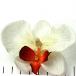 orchidee bloem - gebroken wit met rood
