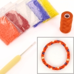 DIY kit armband haken met 11/0 - nederlandse bloemen