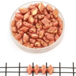 gemduo - gold luster