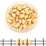 gemduo - pearl shine clamshell