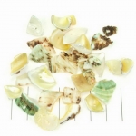 schelpjes met gat - beige