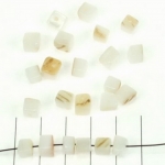 vierkante witte schelpen - wit