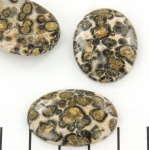 cabochon 30 x 22 mm - leopard skin