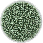 miyuki seed beads 11/0 - duracoat galvanized sea green