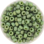 miyuki seed beads 6/0 - opaque glazed frosted pistachio