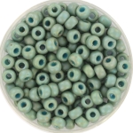 miyuki seed beads 6/0 - opaque glazed frosted rainbow celadon