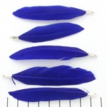 feather 8 cm - dark blue