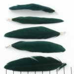 feather 8 cm - dark green petrol