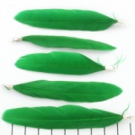 feather 8 cm - green
