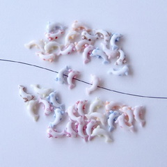 Extra foto's dolfijntje - mix