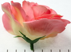 Extra foto's roos - roze en zachtgeel