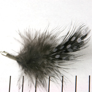 Extra foto's donzig veertje 8 cm - grijs zwart